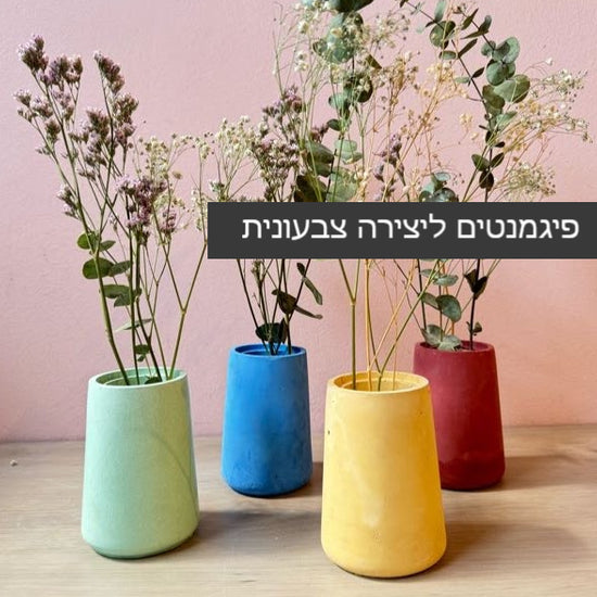עציצים צבעוניים